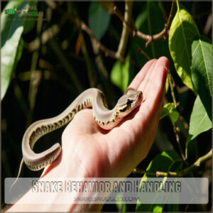 Snake Behavior and Handling