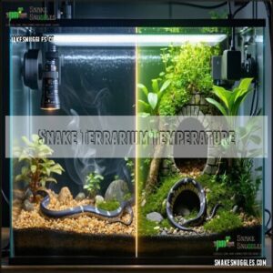 Snake Terrarium Temperature