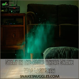 Start in The Room Where Snake Was Last Seen