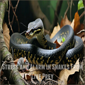 Stress and Alarm in Snakes From Live Prey