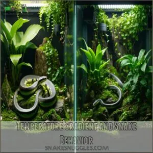 Temperature Gradient and Snake Behavior Temperature Gradient and Snake Behavior