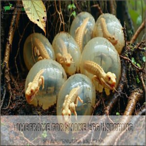 Timeframe for Snake Egg Hatching