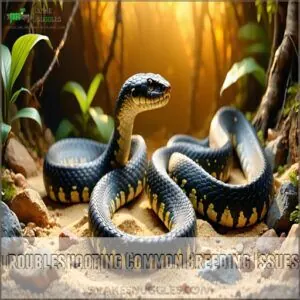 Troubleshooting Common Breeding Issues Troubleshooting Common Breeding Issues