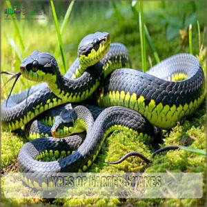 Types of Garter Snakes