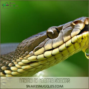 Venom in Garter Snakes