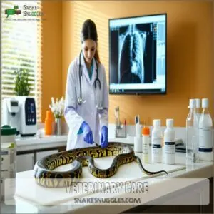 Veterinary Care Veterinary Care