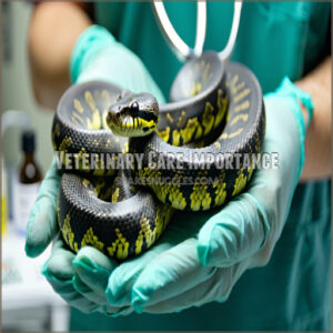 Veterinary Care Importance