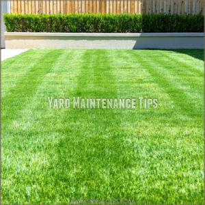 Yard Maintenance Tips