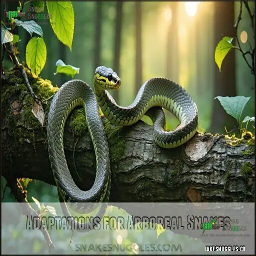 How Do Snakes Move? 4 Fascinating Ways Snakes Slither Without Legs