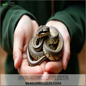 Avoid Sudden Movements Avoid Sudden Movements