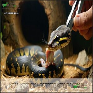 Ball Python Appetite Stimulation