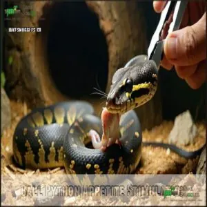 Ball Python Appetite Stimulation Ball Python Appetite Stimulation