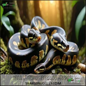 Ball Python Breeding Season