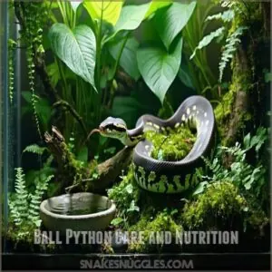 Ball Python Care and Nutrition Ball Python Care and Nutrition