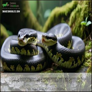 Ball Python Sensitivity to Sound