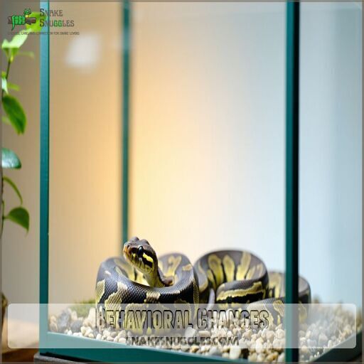 View of Corn Snake Shedding Secrets: When, Why, and How to Help!