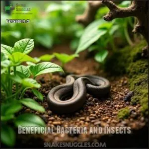 Beneficial Bacteria and Insects Beneficial Bacteria and Insects