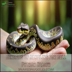 Benefits of Handling for Ball Python Health