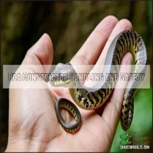 Boa Constrictor Handling and Safety Boa Constrictor Handling and Safety