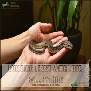 Building Trust With Your Ball Python