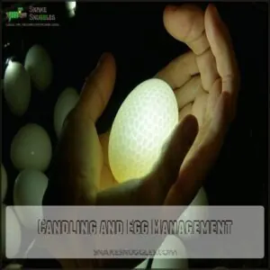 Candling and Egg Management Candling and Egg Management