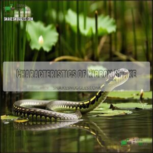 Characteristics of Ribbon Snake