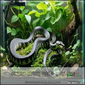 Common Health Issues in Snakes