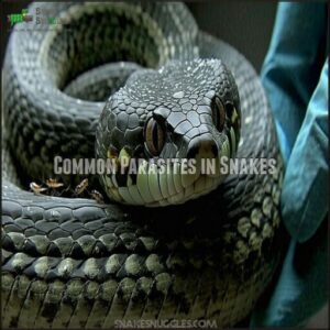 Common Parasites in Snakes