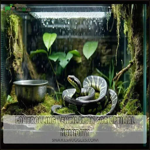 Ball Python Humidity Secrets: Expert Guide to Perfect Habitat Care