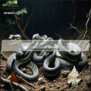 Deadly Snake Species