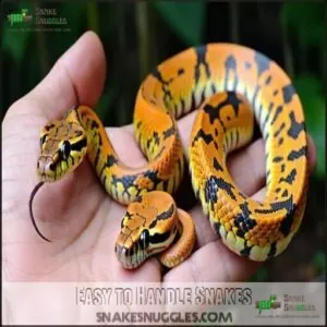 Easy to Handle Snakes Easy to Handle Snakes