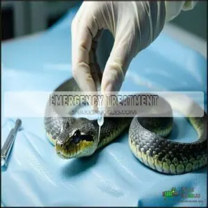 Emergency Treatment Emergency Treatment