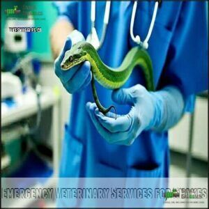 Emergency Veterinary Services for Snakes