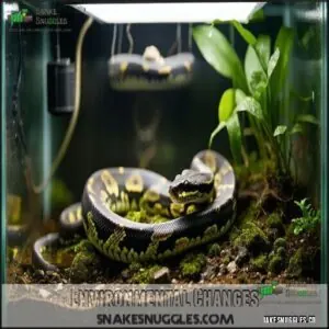 Environmental Changes Environmental Changes