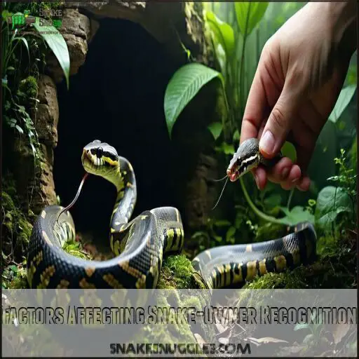Snake Owner Can Snakes Recognize Owners? The Surprising Truth Revealed!