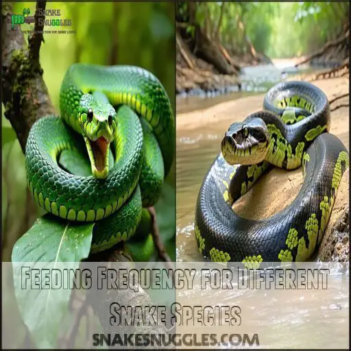 How Much to Feed a Snake: Expert Guide for Perfect Portions 2025