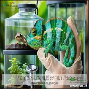 Finding Local Reptile Vets