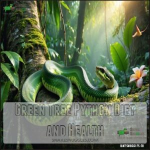 Green Tree Python Diet and Health