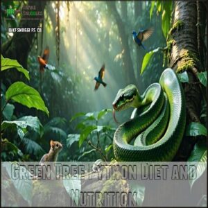 Green Tree Python Diet and Nutrition