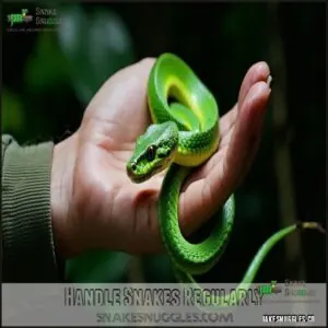 Handle Snakes Regularly Handle Snakes Regularly