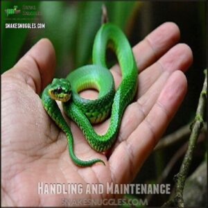 Handling and Maintenance