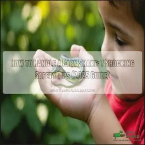 how to handle a baby snake how to handle a baby snake