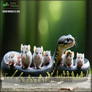 Importance of Prey Size Importance of Prey Size