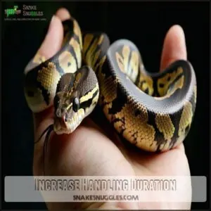 Increase Handling Duration Increase Handling Duration