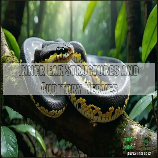 Can Ball Pythons Hear Sound? The Truth About Their Unique Hearing Ability