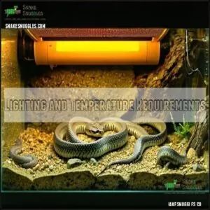 Lighting and Temperature Requirements Lighting and Temperature Requirements