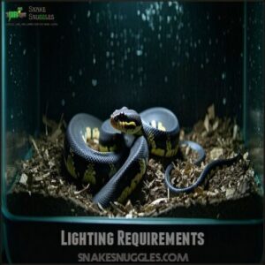 Lighting Requirements