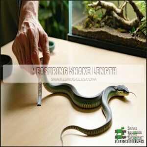 Measuring Snake Length