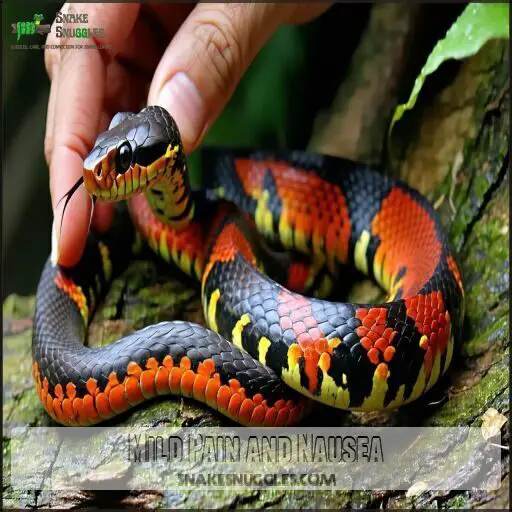 How Poisonous Are Coral Snakes? Deadly Facts You Need to Know Now!