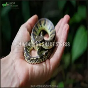 Minimizing Snake Stress Minimizing Snake Stress